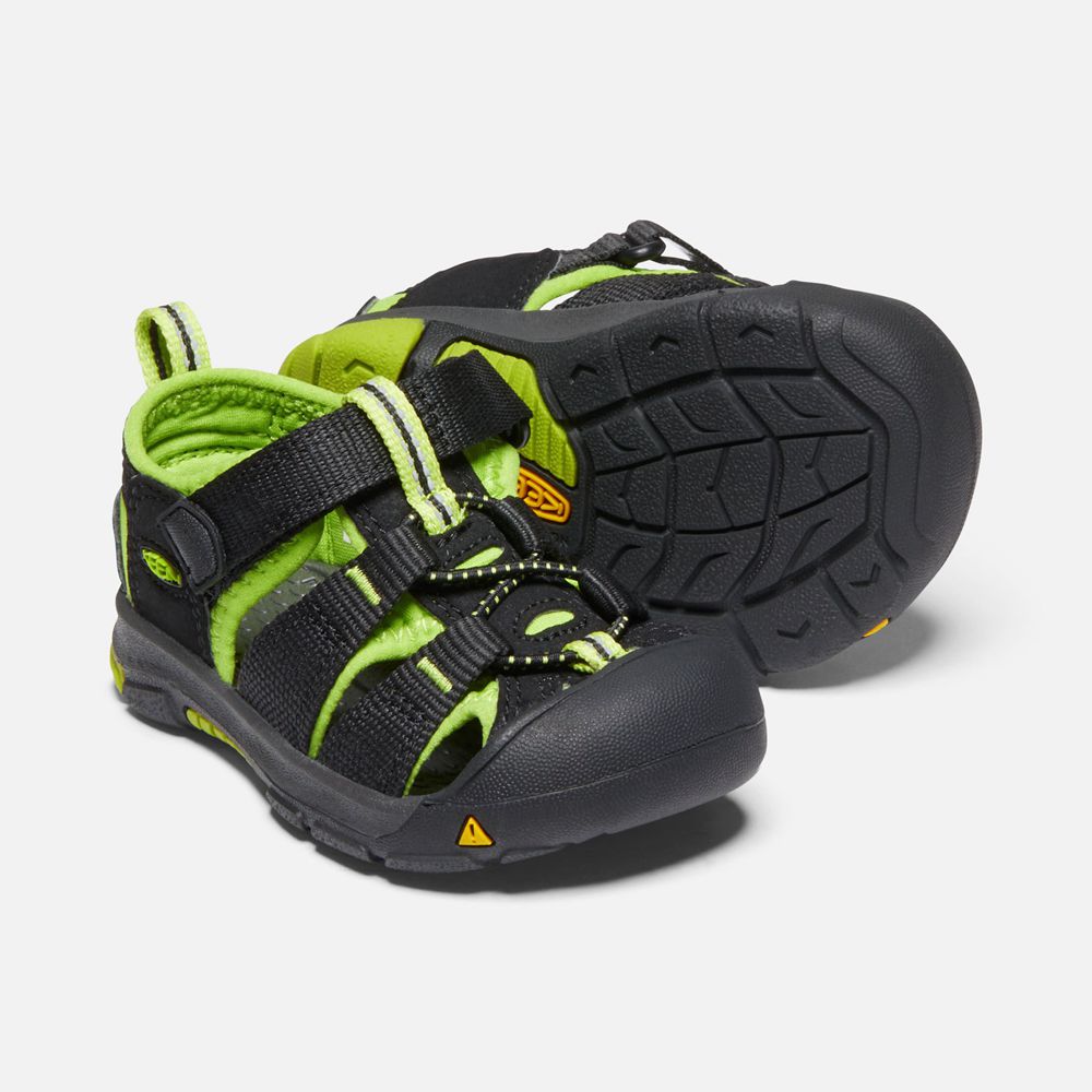 Sandalias Keen Mexico Negros/Verdes - Niños Newport H2 - CM5620347